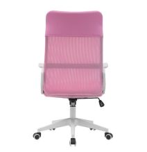 Silla de Oficina Ergonómica con Respaldo en PU Rosa y Tejido 3D Rosa, Reposacabezas Ajustable - Medidas 57,5x54x104-114 cm